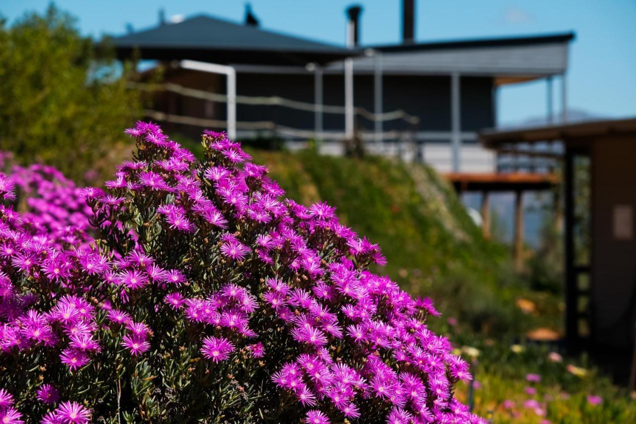 Big Sky Cottages Wolseley Luaran gambar