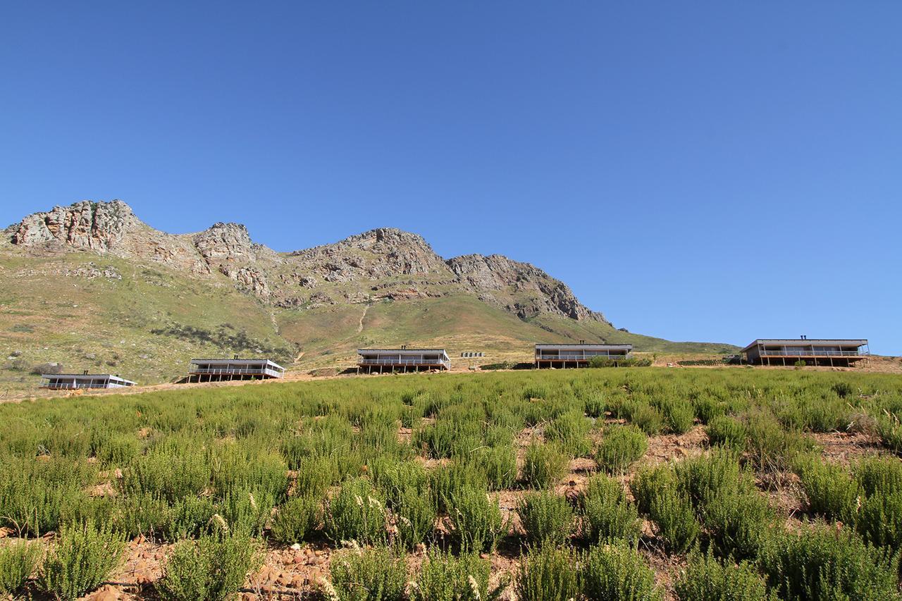 Big Sky Cottages Wolseley Luaran gambar